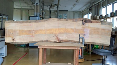 琴伝流に届いた陸前高田市の被災松 琴伝流に届いた陸前高田市の被災松