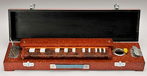 インドの楽器(ブルブルタラング)